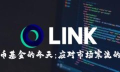 数字货币基金的冬天：应