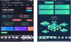 中金数字货币研报：全球
