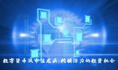 数字货币低市值龙头：挖