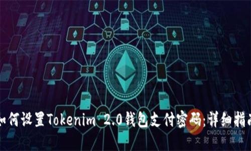 如何设置Tokenim 2.0钱包支付密码：详细指南