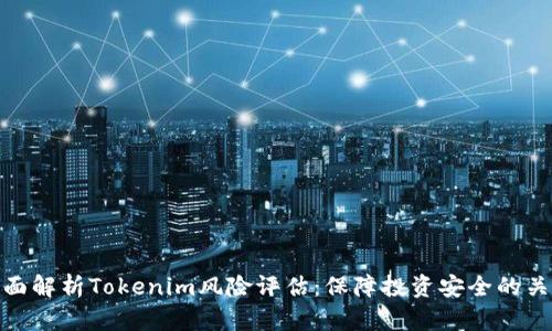 全面解析Tokenim风险评估：保障投资安全的关键