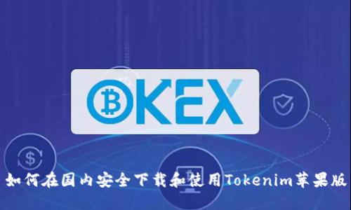 如何在国内安全下载和使用Tokenim苹果版
