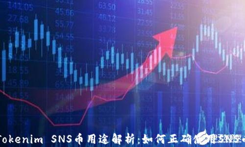 
Tokenim SNS币用途解析：如何正确使用SNS币
