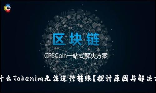 为什么Tokenim无法进行转账？探讨原因与解决方案