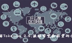深入了解Tokenim 2.0：波场带