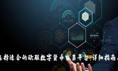 如何选择适合的欧联数字