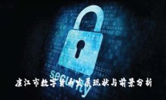 廉江市数字货币发展现状