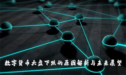 数字货币大盘下跌的原因解析与未来展望