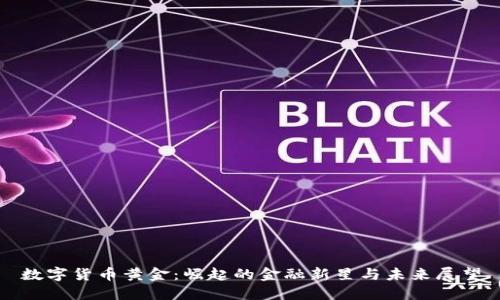 数字货币黄金：崛起的金融新星与未来展望