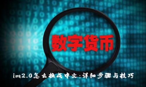im2.0怎么换成中文：详细步骤与技巧