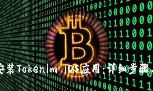 如何轻松安装Tokenim iOS应用：详细步骤与解决方案