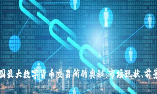 揭开中国最大数字货币交易所的奥秘：市场现状、前景与挑战