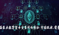 揭开中国最大数字货币交