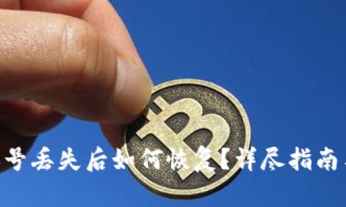 Tokenim账号丢失后如何恢复？详尽指南与解决方案