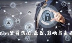 Tokenim公司倒闭：原因、影