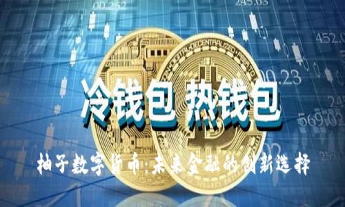 柚子数字货币：未来金融的创新选择
