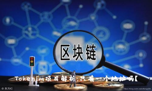 Tokenim项目解析：只有一个地址吗？