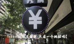 Tokenim项目解析：只有一个