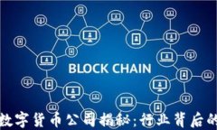最大的加密数字货币公司