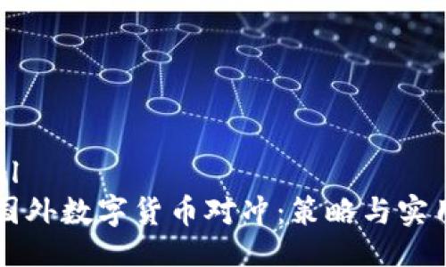 ```xml
理解国外数字货币对冲：策略与实用指南