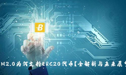 IM2.0为何支持ERC20代币？全解析与未来展望