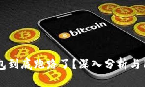 币印钱包到底跑路了？深入分析与用户须知