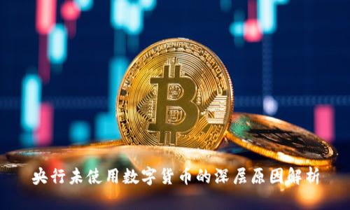 央行未使用数字货币的深层原因解析