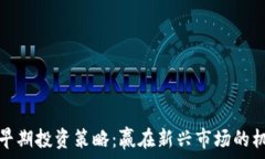   数字货币早期投资策略：