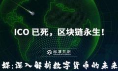 引力传媒：深入解析数字