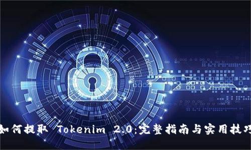 如何提取 Tokenim 2.0：完整指南与实用技巧