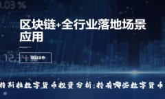 特斯拉数字货币投资分析
