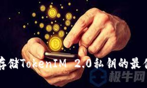 安全存储TokenIM 2.0私钥的最佳实践
