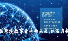 中国跨境数字货币的未来