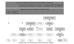 理解Tokenim中显示的巨大金