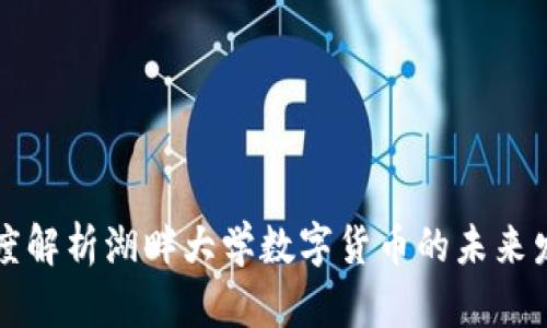 深度解析湖畔大学数字货币的未来发展