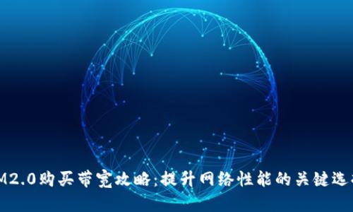 IM2.0购买带宽攻略：提升网络性能的关键选择