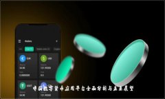 中国数字货币应用平台全