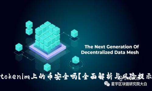 tokenim上的币安全吗？全面解析与风险提示