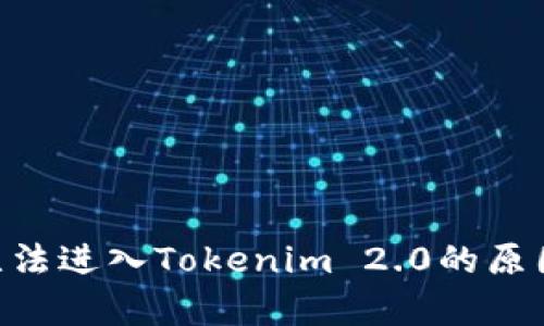 ETC无法进入Tokenim 2.0的原因解析
