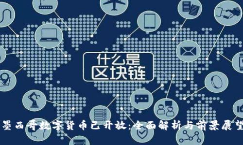 墨西哥数字货币已开放：全面解析与前景展望