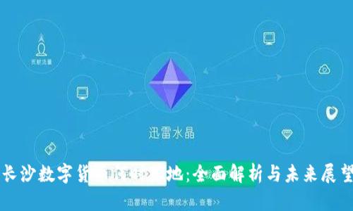 长沙数字货币何时落地：全面解析与未来展望