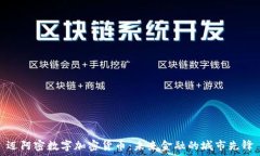   迈阿密数字加密货币：未
