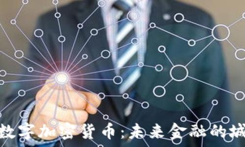   
迈阿密数字加密货币：未来金融的城市先锋