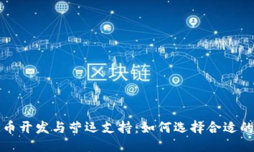 优质
数字货币开发与营运支持：如何选择合适的服务商