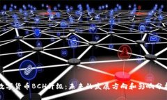 数字货币BCH升级：未来的