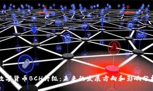 数字货币BCH升级：未来的发展方向和影响分析