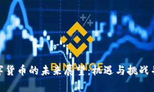 数字货币的未来展望：机遇与挑战并存