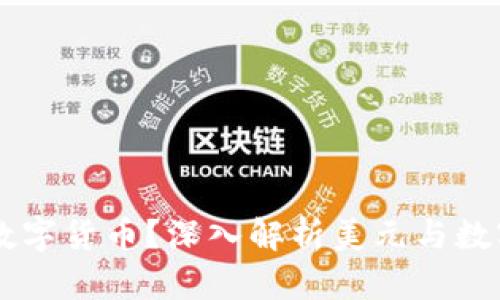 美元是否是数字货币？深入解析美元与数字货币的关系