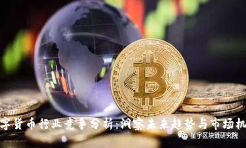 数字货币行业竞争分析：洞察未来趋势与市场机会