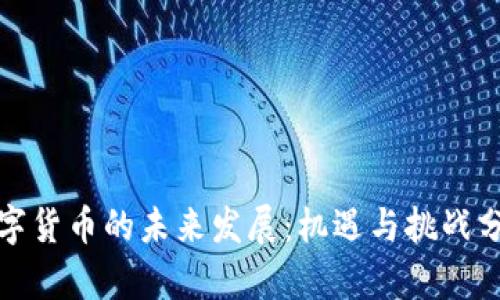 数字货币的未来发展：机遇与挑战分析